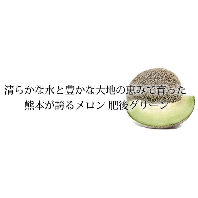 メロン 肥後グリーンメロン 送料無料 2玉 約3〜4kg M〜3L お メロン 肥後グリーンメロン 送料無料 2玉 約3〜4kg M〜3L お