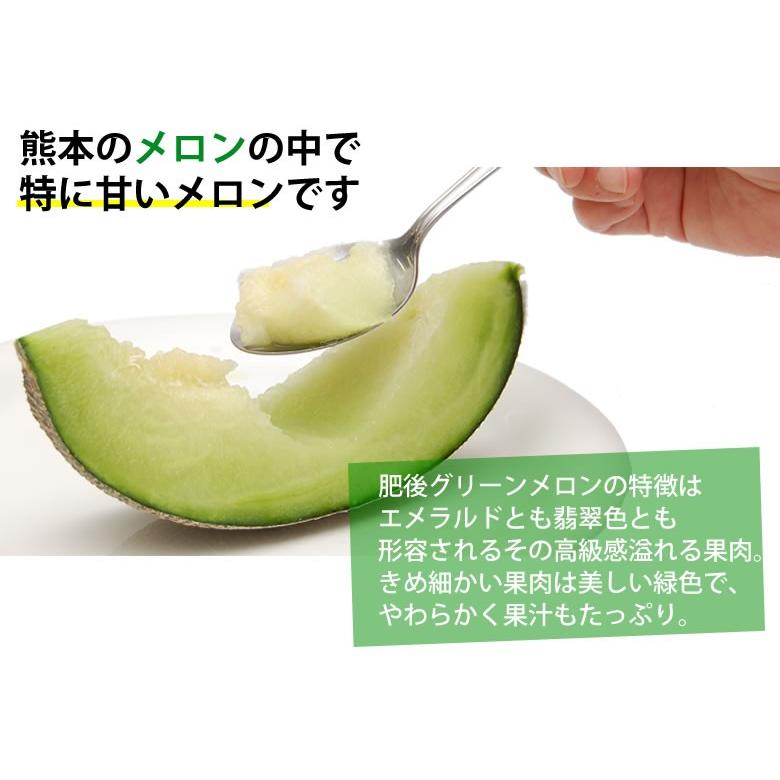 メロン 肥後グリーンメロン 送料無料 2玉 約3〜4kg M〜3L お メロン 肥後グリーンメロン 送料無料 2玉 約3〜4kg M〜3L お