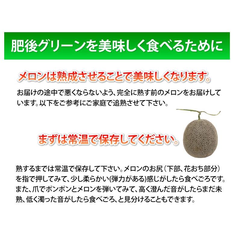 メロン 肥後グリーンメロン 送料無料 2玉 約3 4kg M 3l お取り寄せ 熊本県産 肥後グリーン フルーツ Y Higomelon Foody S 通販 Yahoo ショッピング
