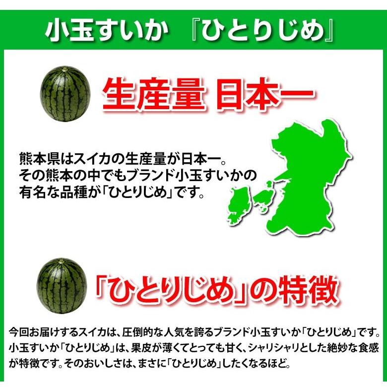 すいか 小玉すいか ひとりじめ スイカ 送料無料 秀品2玉 約3kg すいか 小玉すいか ひとりじめ スイカ 送料無料 秀品2玉 約3kg