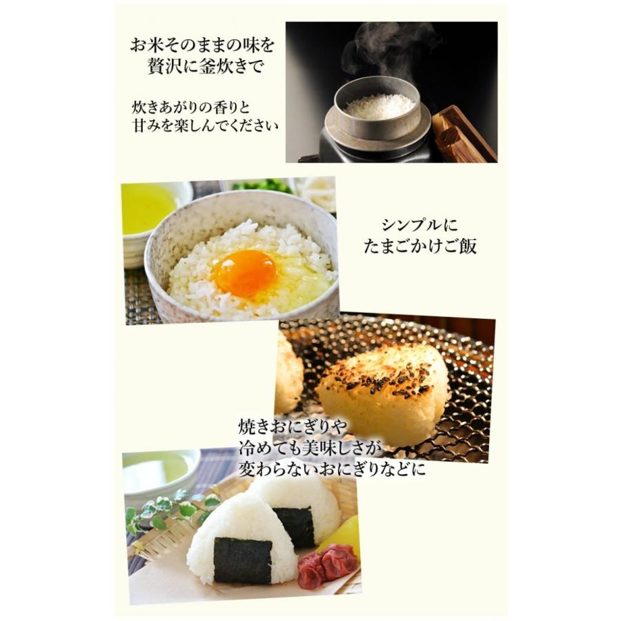 くまさんの輝き 無洗米 送料無料 計900g（300g×3袋） お試し 令和7年産