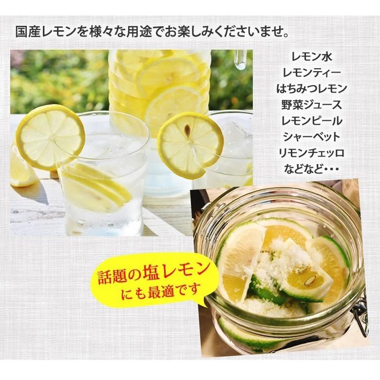 レモン 国産レモン 送料無料 2kg S L 3箱購入で1箱おまけ 熊本県産 減農薬 防腐剤ワックス不使用 れもん グリーンレモン 国産 Y Lemon2kg Foody S 通販 Yahoo ショッピング