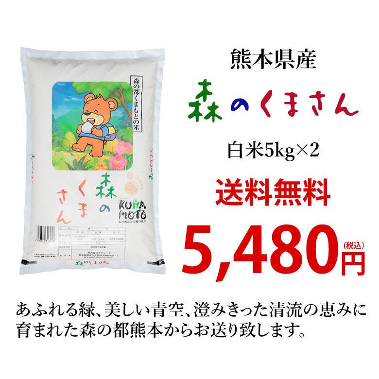森のくまさん 米 送料無料 10kg 令和5年産 新米 熊本県産 白米 お米
