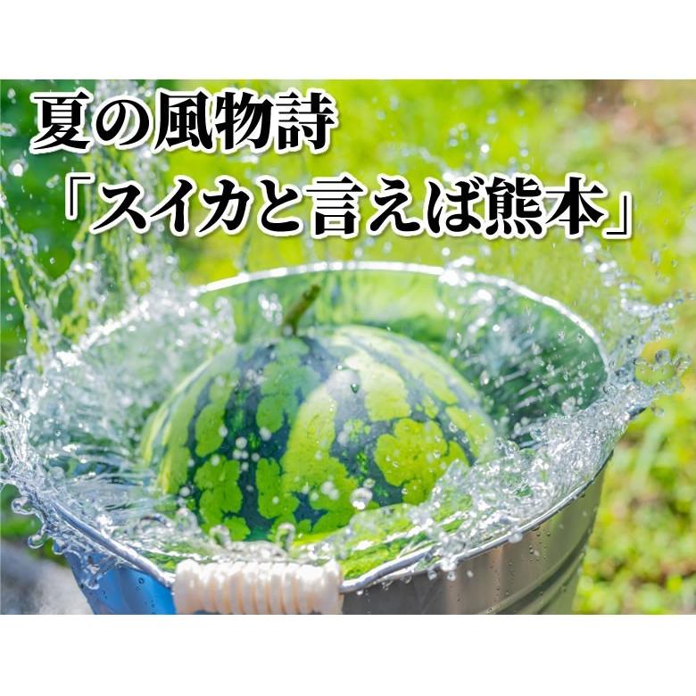 モモンガハウス(パンダスイカ柄)  夏仕様  涼しい夏生地を使用❗️1600円 新品】スイカの置物セット(3つ)の通販 by hinano's shop｜ラクマ