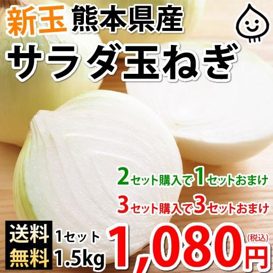玉ねぎ サラダ玉ねぎ 送料無料 新玉 1.5kg S〜L 熊本県産 2セットで1