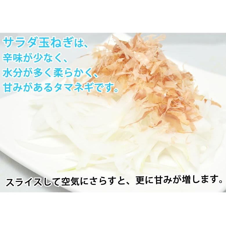 玉ねぎ サラダ玉ねぎ 送料無料 新玉 1.5kg S〜L 熊本県産 2セットで1セットおまけ 3セットで3セットおまけ 玉葱 たまねぎ 野菜｜foodys｜09