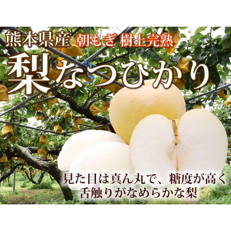 梨 なつひかり 送料無料 秀品 約3kg 熊本県産 ナシ なし 幸水 豊水
