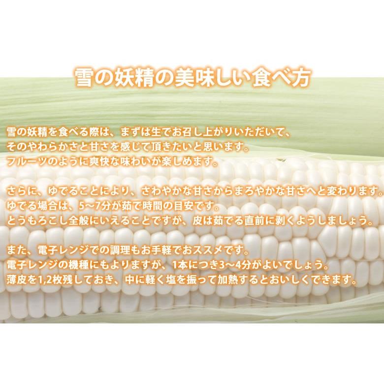 とうもろこし ピュアホワイト 送料無料 約3kg 8〜12本入り 九州産 白い