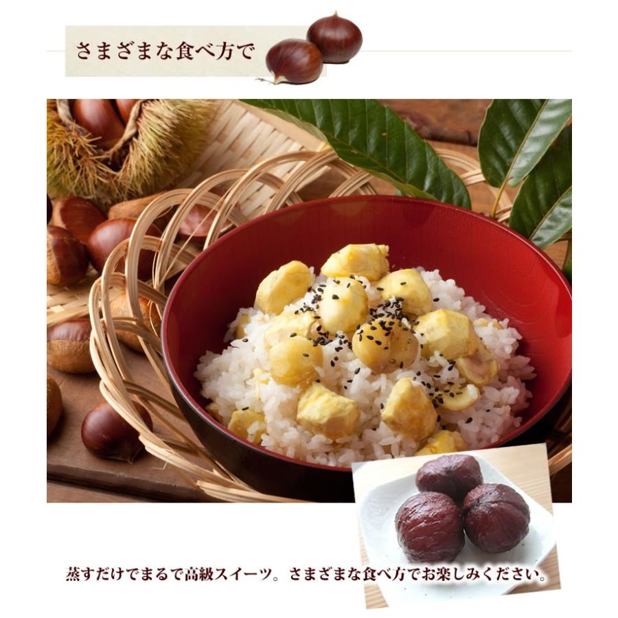 利平栗 栗 送料無料 約1kg L〜2L クール便 2セットで1セットおまけ 3