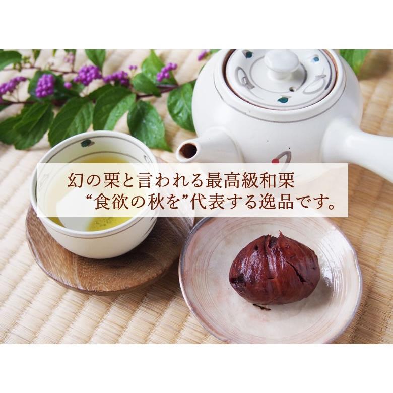 利平栗 栗 送料無料 約1kg L〜2L クール便 2セットで1セットおまけ 3