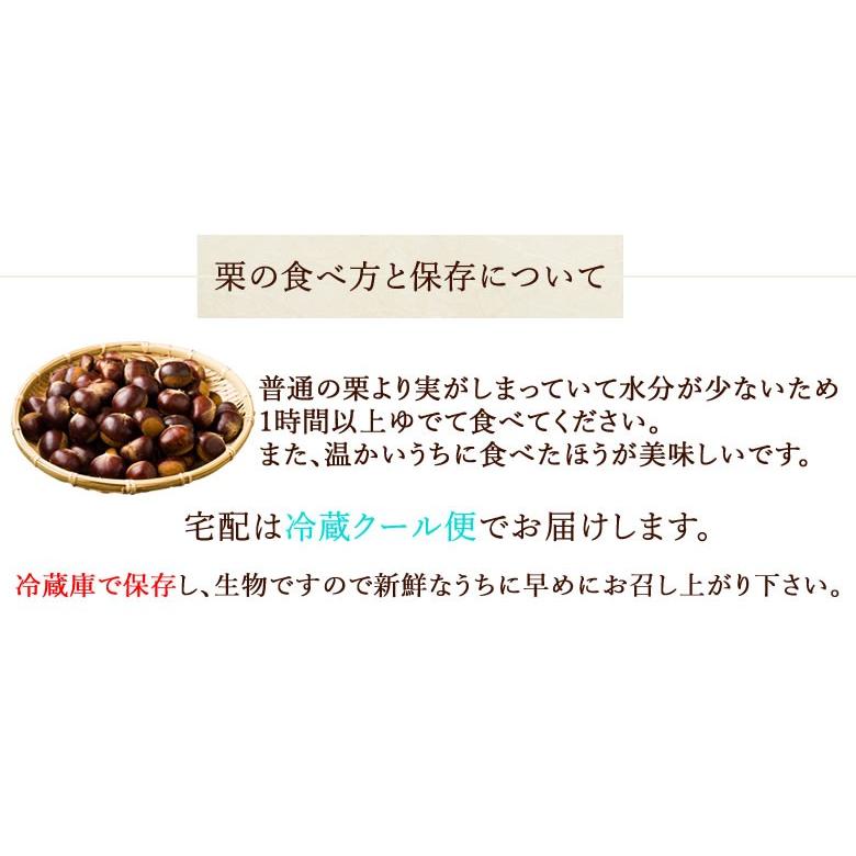利平栗 栗 送料無料 約1kg L〜2L クール便 2セットで1セットおまけ 3