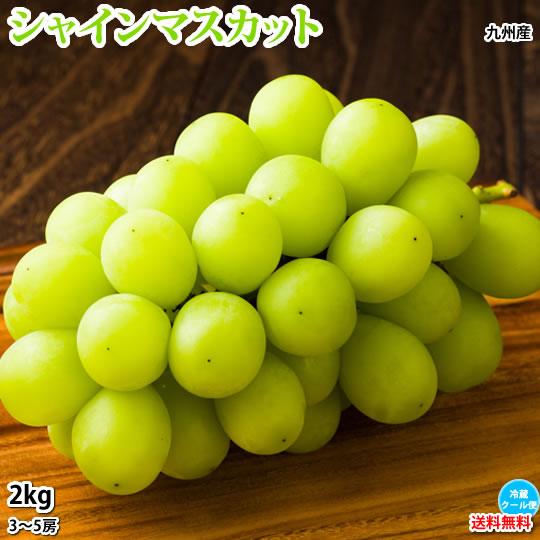 シャインマスカット ぶどう 送料無料 2kg 3〜5房 〈クール便でお届け