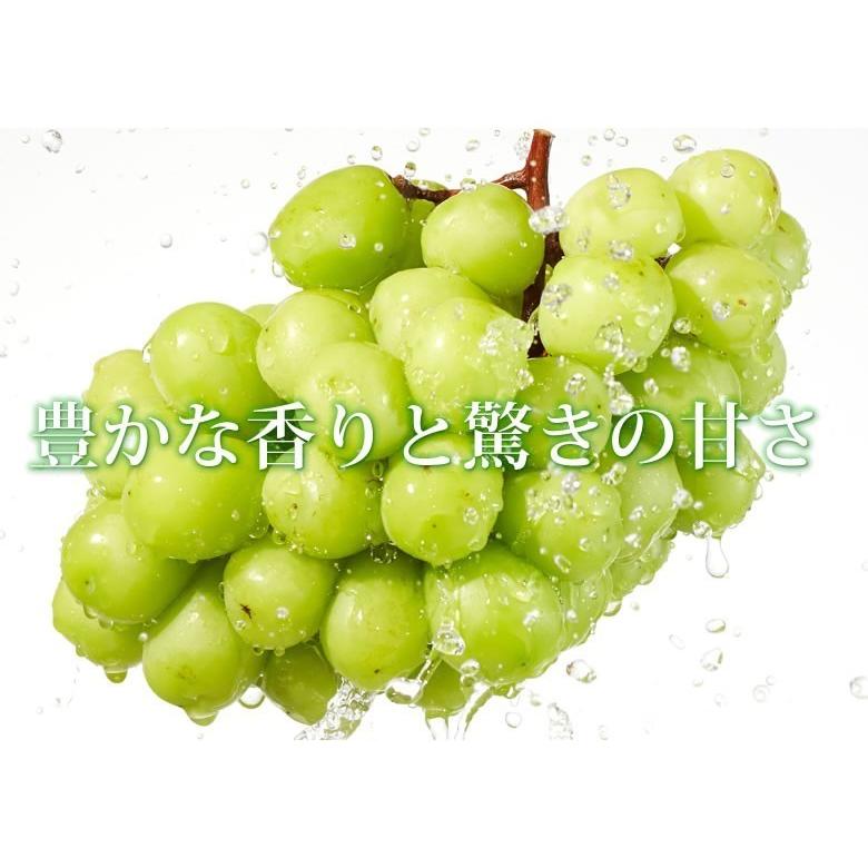 シャインマスカット ぶどう 送料無料 2kg 3〜5房 〈クール便でお届け