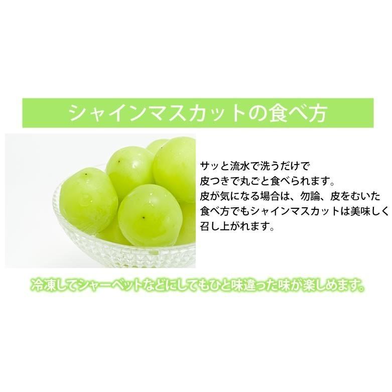 シャインマスカット ぶどう 送料無料 2kg 3〜5房 〈クール便でお届け