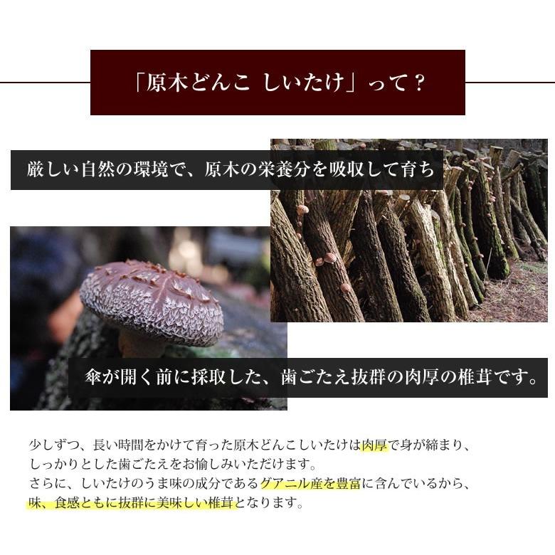 原木どんこ しいたけ 送料無料 80g 熊本 大分県産 ポッキリ お 原木どんこ しいたけ 送料無料 80g 熊本 大分県産 ポッキリ お