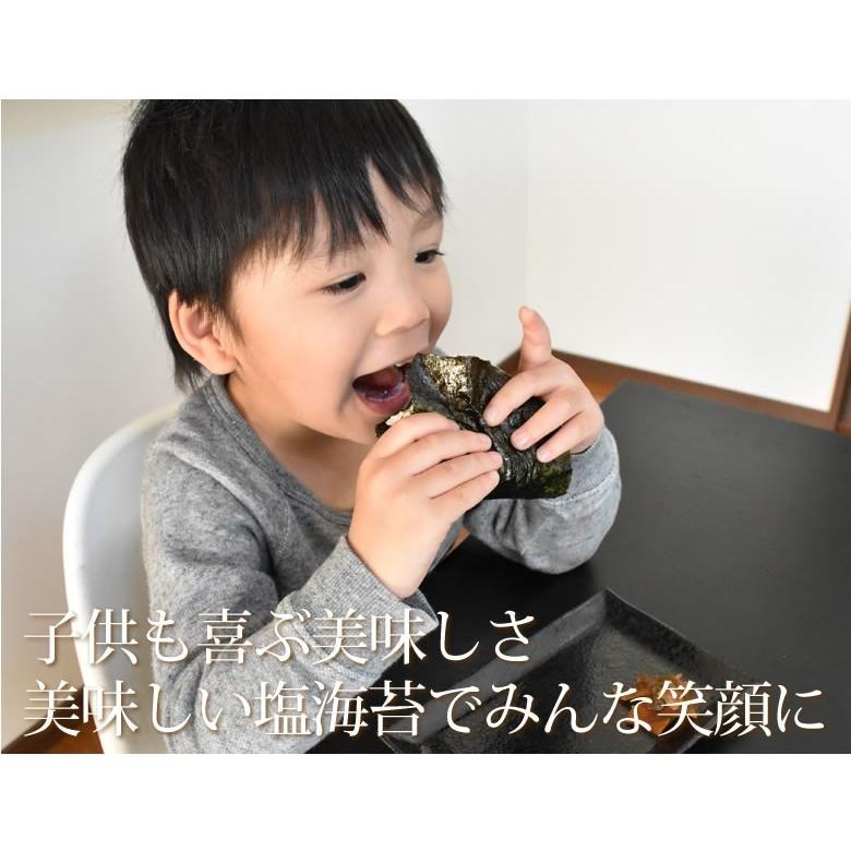 塩のり 海苔 味付け塩海苔 有明海産 送料無料 半形20枚×2袋 お取り寄せ
