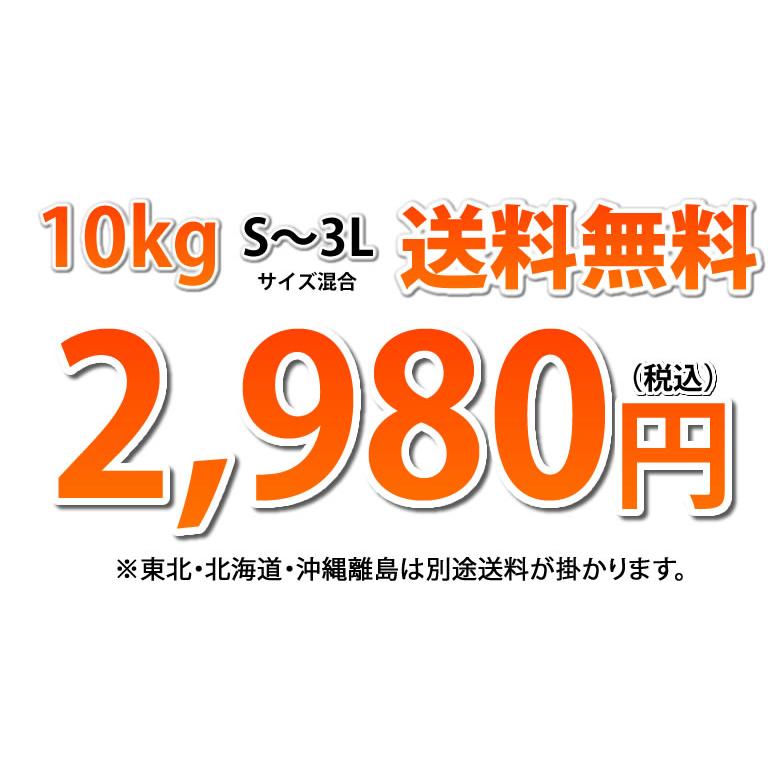 スイートスプリング 10kg みかん 送料無料 訳あり 熊本県産 爽やかな甘さと香り 蜜柑 温州みかん 八朔｜foodys｜04