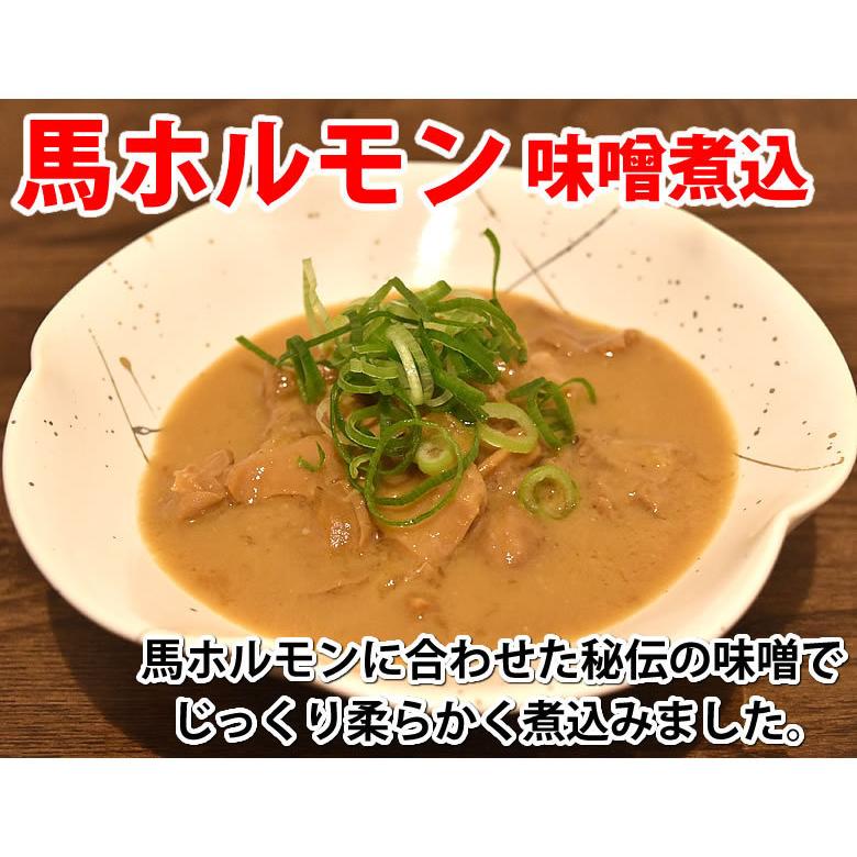 最大94%オフ!最大94%オフ!馬ホルモン 味噌煮込み 国産 馬肉 熊本 送料無料 150g×2袋 お取り寄せ おつまみ 馬もつ 大腸 小腸 馬肉、 馬刺し お中元 御中元2023 馬刺し 国産 900g 送料無料 たれ付き 桜肉 (100gx9P) ギフト