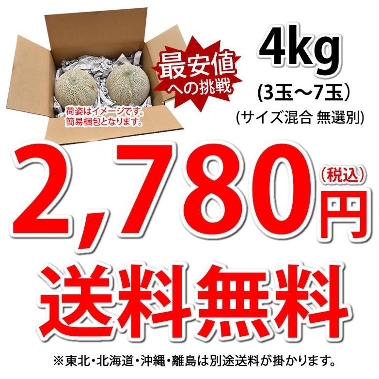 メロン 訳あり 小玉 赤肉メロン 4kg 送料無料 お取り寄せ 熊本県産 クインシーメロン :y-w-akamelon4kg:Foody’s