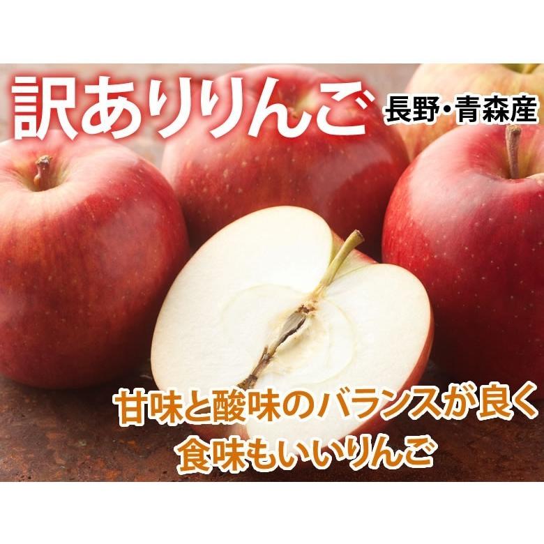 りんご 訳あり リンゴ 送料無料 約1.5kg 長野・青森県産 2セット りんご 訳あり リンゴ 送料無料 約1.5kg 長野・青森県産 2セット