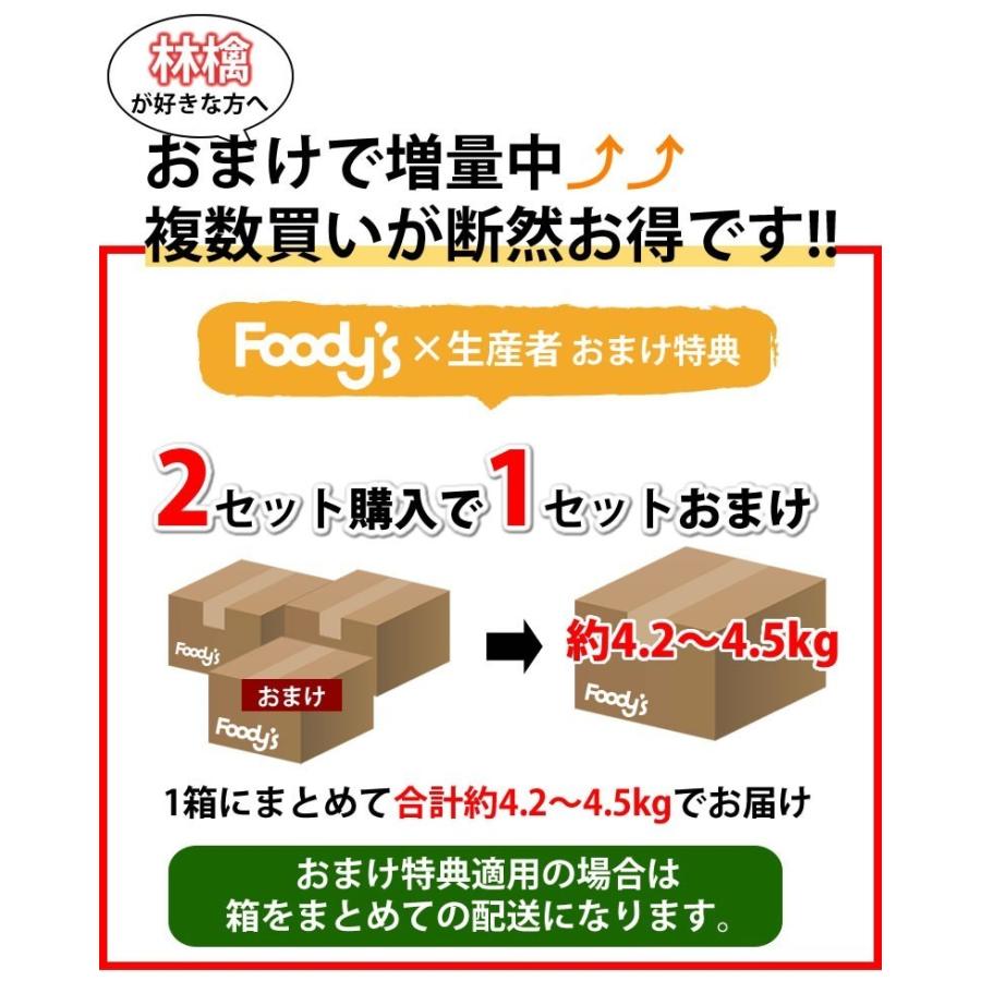 りんご 訳あり リンゴ 送料無料 約1.5kg 長野・青森県産 2セットで1セットおまけ お取り寄せ サンふじ つがる ジョナゴールド ふじ 林檎｜foodys｜04