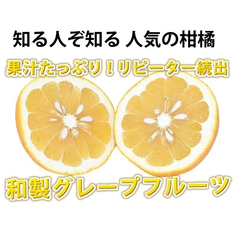 みかん 河内晩柑 送料無料 訳あり 5kg 箱込 (内容量4kg+不良果補償分500g)  S〜3L お取り寄せ 和製グレープフルーツ 晩柑 熊本県産 美生柑｜foodys｜03