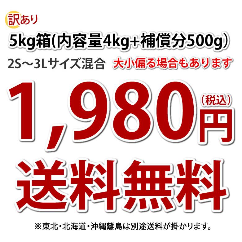 さつまいも 紅はるか 訳あり 5kg 箱込（内容量4kg＋補償分500g) 送料無料 べにはるか 熊本県産 サツマイモ 紅蜜芋 芋 いも  :y-w-beni5kg:Foody's - 通販 - Yahoo!ショッピング