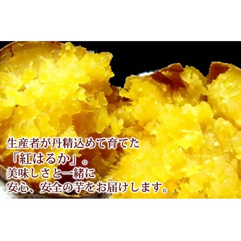 さつまいも 紅はるか 訳あり 5kg 箱込(内容量4kg+補償分500g) 送料無料 べにはるか 熊本県産 サツマイモ 紅蜜芋 芋 いも :y-w-beni5kg:Foody's - 通販 - Yahoo!ショッピング さつまいも 紅はるか 訳あり 5kg 箱込(内容量4kg+補償分500g) 送料無料 べにはるか 熊本県産 サツマイモ 紅蜜芋 芋 いも :y-w-beni5kg:Foody's - 通販 - Yahoo!ショッピング