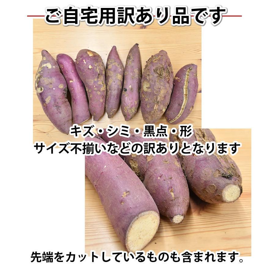 さつまいも 紅はるか 訳あり 1.5kg 送料無料 2セット購入で1セットおまけ 3セット購入で3セットおまけ お取り寄せ べにはるか 熊本県産 焼き芋 芋 いも｜foodys｜07