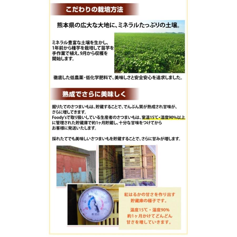 さつまいも 紅はるか 訳あり 1.5kg 送料無料 2セット購入で1セットおまけ 3セット購入で3セットおまけ お取り寄せ べにはるか 熊本県産 焼き芋 芋 いも｜foodys｜09