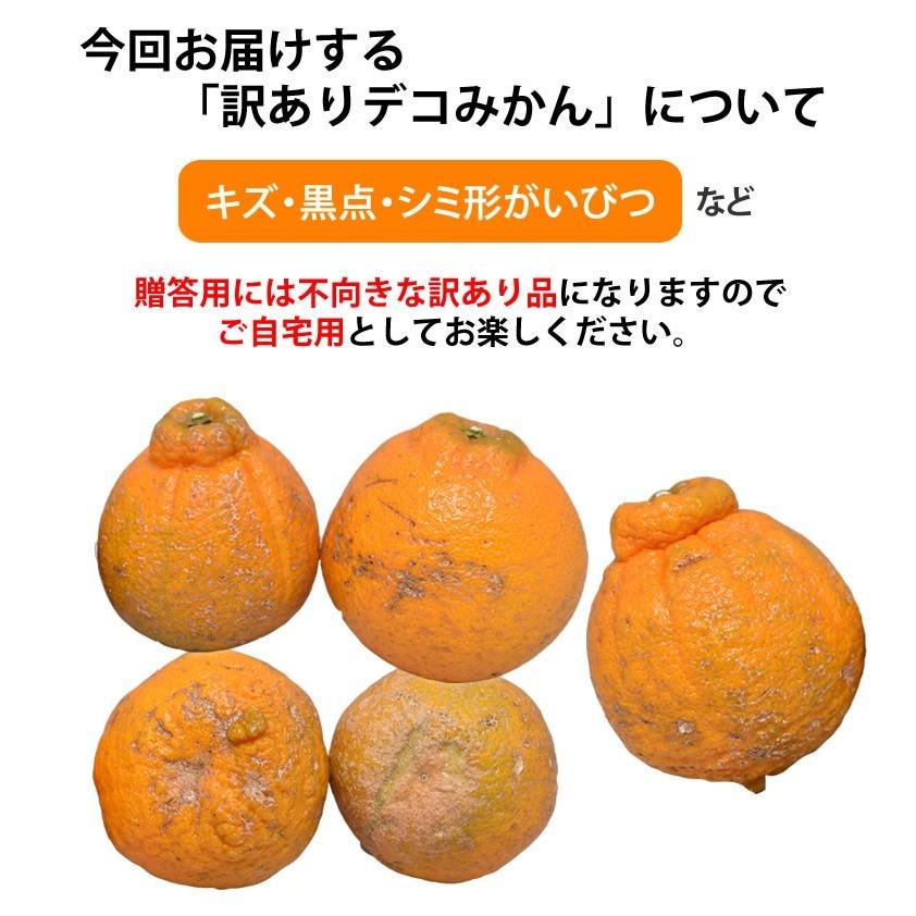 みかん デコポン 同品種 訳ありデコみかん 10kg 箱込 (内容量 みかん デコポン 同品種 訳ありデコみかん 10kg 箱込 (内容量