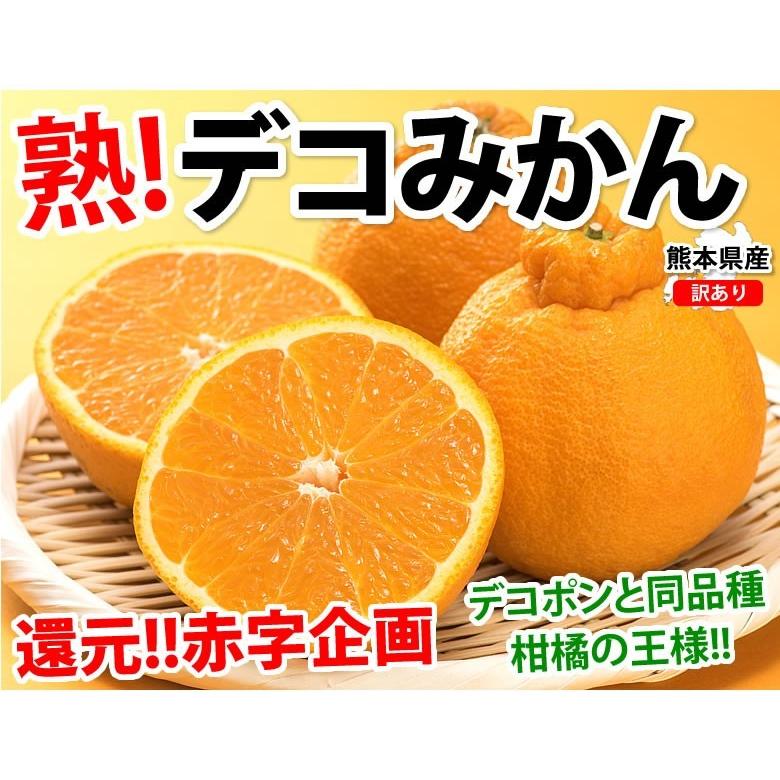 みかん デコポン 同品種 訳ありデコみかん 10kg 箱込 (内容量 みかん デコポン 同品種 訳ありデコみかん 10kg 箱込 (内容量