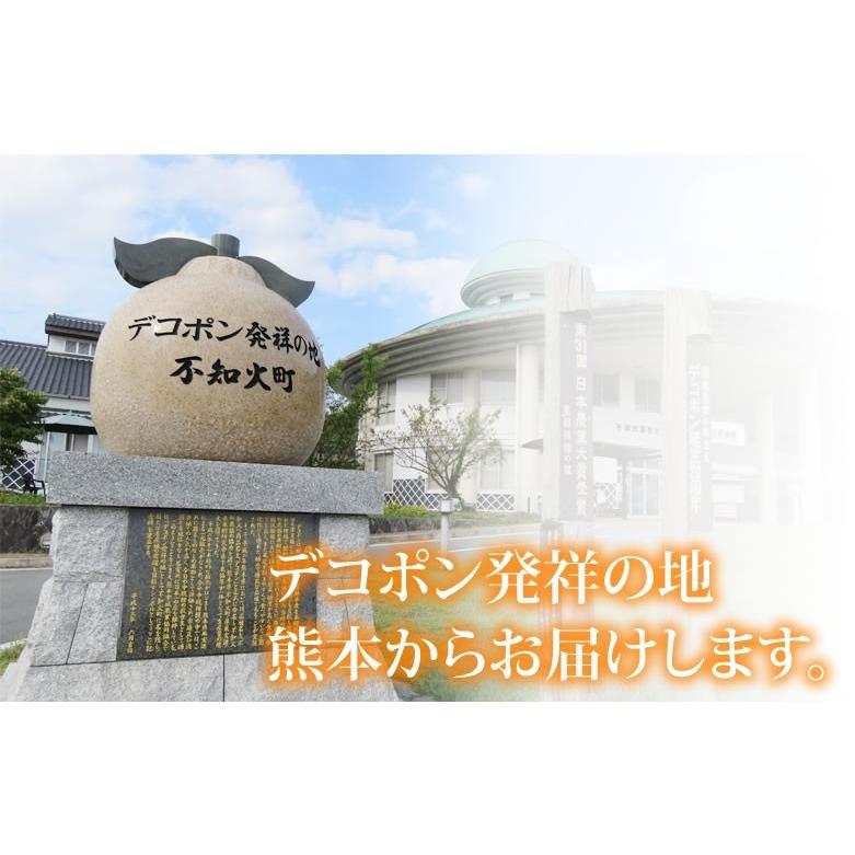 みかん デコポン 同品種 訳ありデコみかん 10kg 箱込 (内容量 みかん デコポン 同品種 訳ありデコみかん 10kg 箱込 (内容量