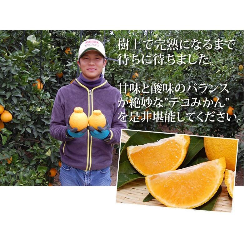 コスパ最高　デコポン　不知火　みかん　40kg 美味しい みかん 不知火 デコポン 5kg 訳あり 家庭用 送料無料 熊本産 サイズM