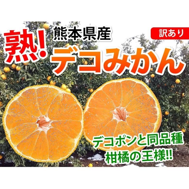 デコポン 同品種 訳ありデコみかん 8kg 送料無料 S〜3L みかん 熊本県産 ミカン 蜜柑 不知火｜foodys｜03