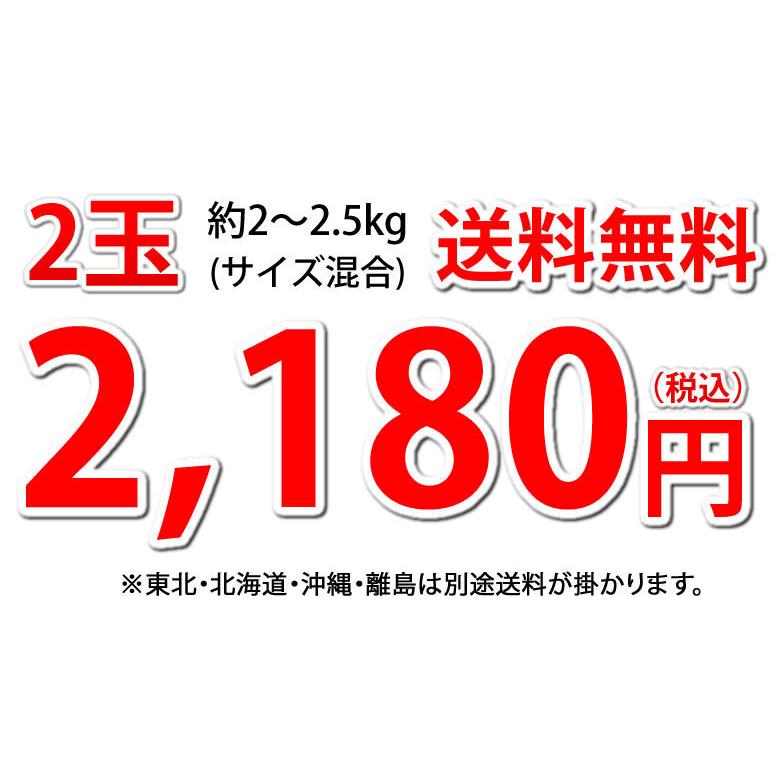 アポモルヒネ舌下勃起fda2022