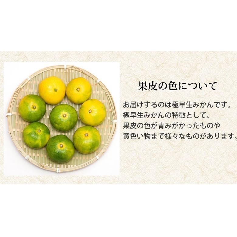 みかん 5kg 送料無料 訳あり 箱込(内容量4kg+補償分500g) 無選別 熊本みかん 極早生みかん 早生みかん 温州みかん蜜柑 ミカン :y-w-mikan2020-5kg:Foody's - 通販 - Yahoo!ショッピング みかん 5kg 送料無料 訳あり 箱込(内容量4kg+補償分500g) 無選別 熊本みかん 極早生みかん 早生みかん 温州みかん蜜柑 ミカン :y-w-mikan2020-5kg:Foody's - 通販 - Yahoo!ショッピング