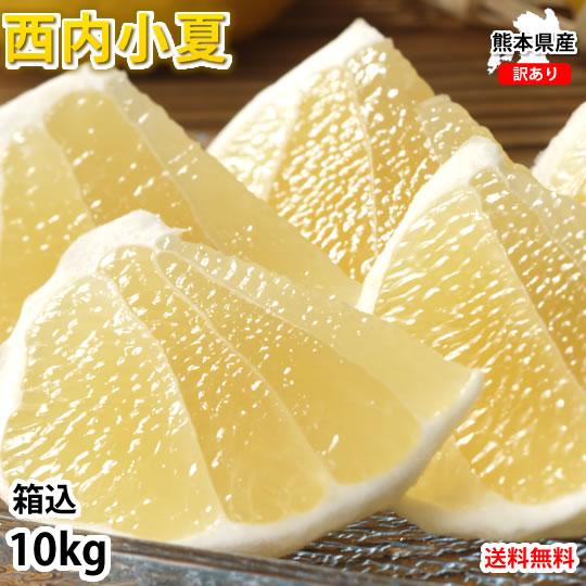 西内小夏 日向夏 10kg 箱込（内容量9kg＋補償分500g) サイズ無選別