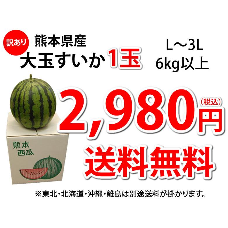 すいか 訳あり 大玉すいか 送料無料 6kg以上 1玉 L〜3L 熊本すいか お取り寄せ スイカ 熊本県産 すいか 西瓜 フルーツ｜foodys｜04