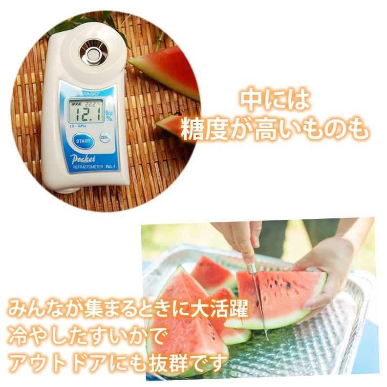 すいか 訳あり 大玉すいか 送料無料 6kg以上 1玉 L〜3L 熊本すいか お取り寄せ スイカ 熊本県産 すいか 西瓜 フルーツ｜foodys｜07