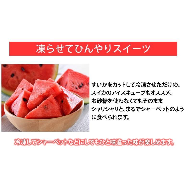 すいか 訳あり 大玉すいか 送料無料 6kg以上 1玉 L〜3L 熊本すいか お取り寄せ スイカ 熊本県産 すいか 西瓜 フルーツ｜foodys｜09