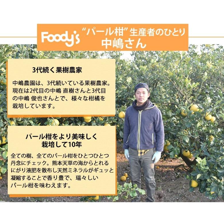 パール柑 5kg 箱込 (内容量4kg+不良果補償分500g) 文旦 みかん 送料
