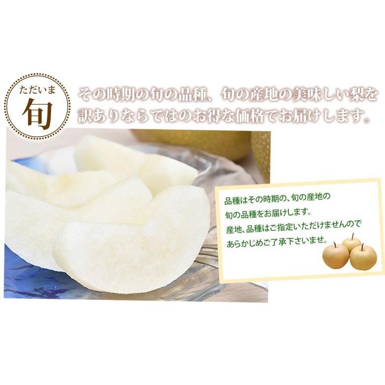 梨 豊水梨 訳あり 約15kg① 【公式直販】サイト