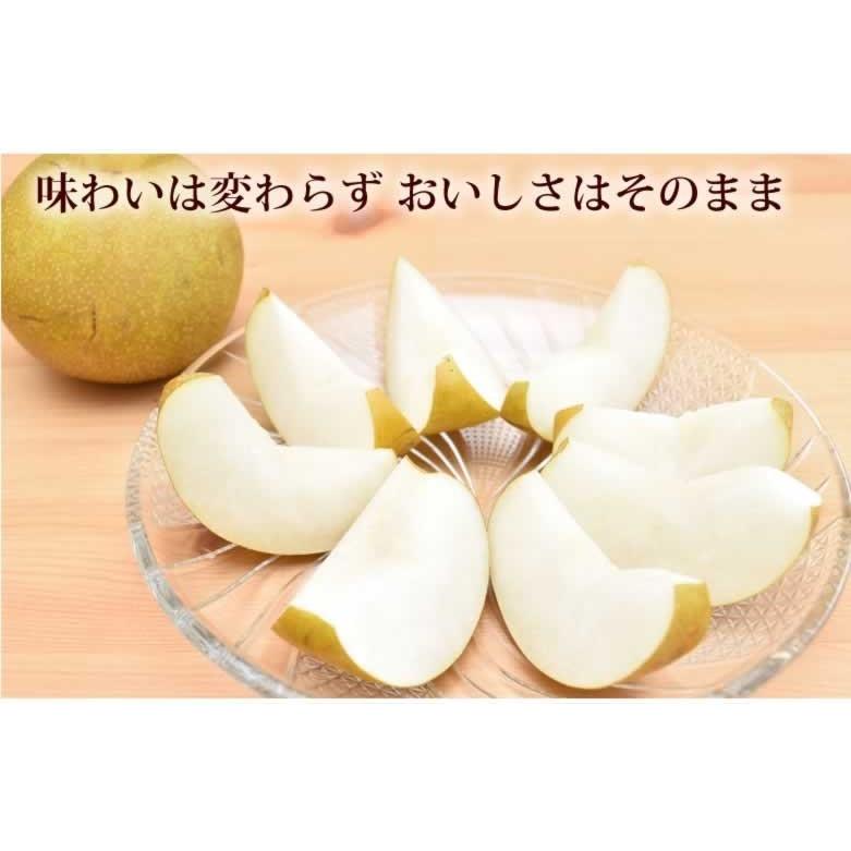 梨 送料無料 訳あり 1kg 2セット購入で1セットおまけ お取り寄せ