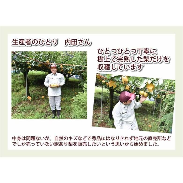 梨 送料無料 訳あり 1kg 2セット購入で1セットおまけ お取り寄せ 九州