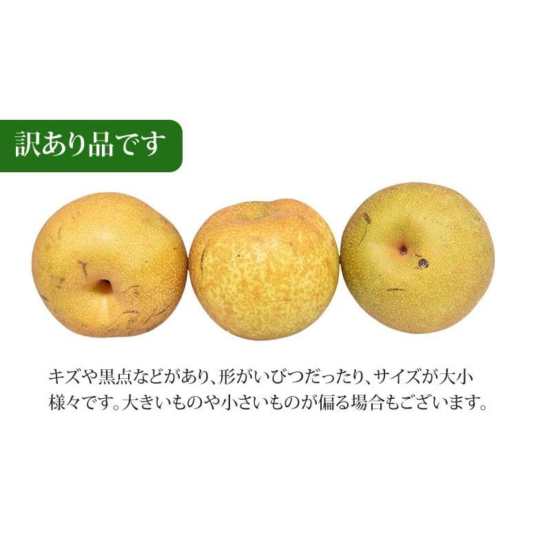 梨 送料無料 訳あり 3kg お取り寄せ 九州産 ナシ 和梨 幸水 豊水