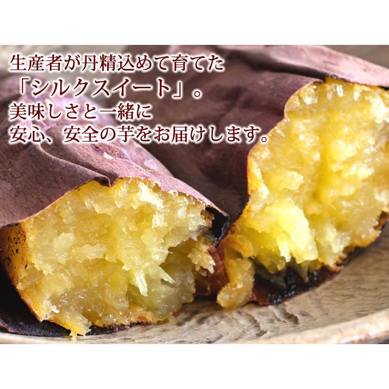 さつまいも シルクスイート 訳あり 5kg 箱込(内容量4kg+補償分500g) 送料無料 熊本・宮崎県産 サツマイモ 春こがね 紅まさり 焼き芋 芋 いも :y-w-silk5kg:Foody's - 通販 - Yahoo!ショッピング さつまいも シルクスイート 訳あり 5kg 箱込(内容量4kg+補償分500g) 送料無料 熊本・宮崎県産 サツマイモ 春こがね 紅まさり 焼き芋 芋 いも :y-w-silk5kg:Foody's - 通販 - Yahoo!ショッピング