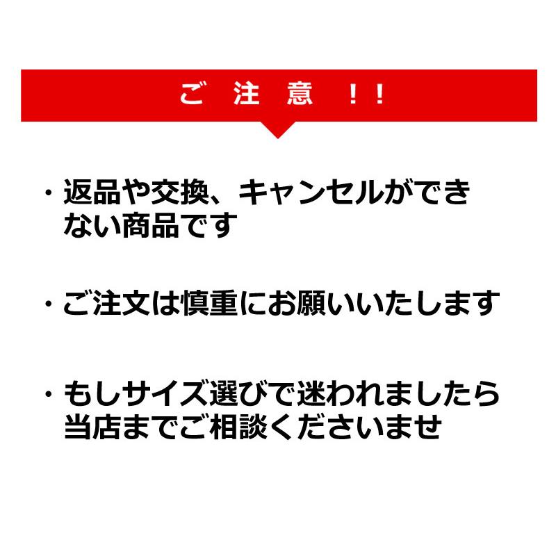 NIKE（ナイキ） イングランド代表 ライス ユニフォーム ホーム 26/27