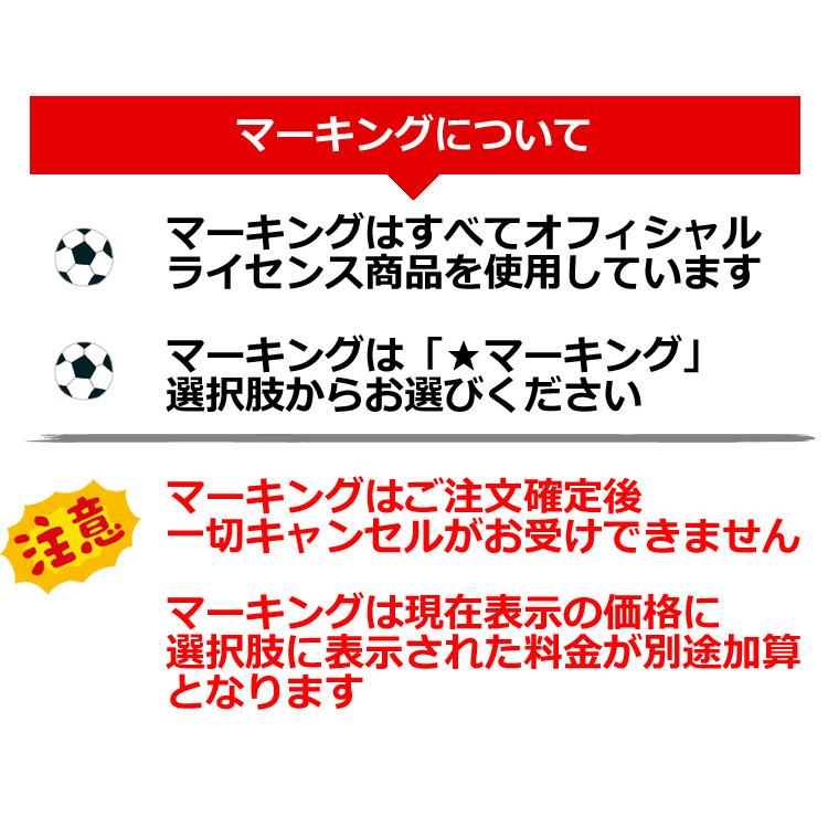 NIKE リバプール リヴァプール ユニフォーム サード 22/23 2022 2023 半袖 ナイキ 正規品 :liv22233j:Football Vita 通販 リバプール 22 23 ユニフォーム サード 半袖 レプリカ