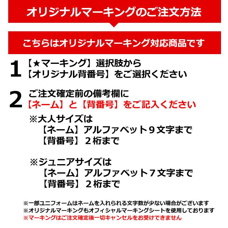 NIKE ブライトン ユニフォーム サード 24/25 2024 2025 半袖 NIKE ブライトン ユニフォーム サード 24/25 2024 2025 半袖